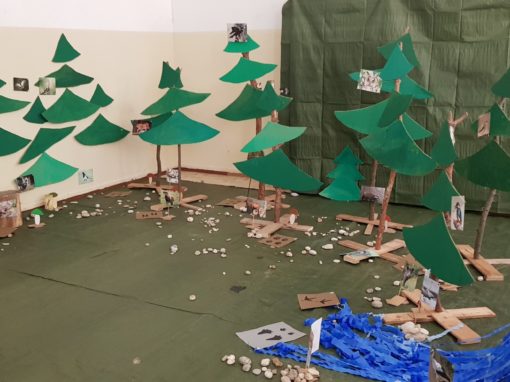 34604294-381321195705858-6262851955895304192-o-381321185705859