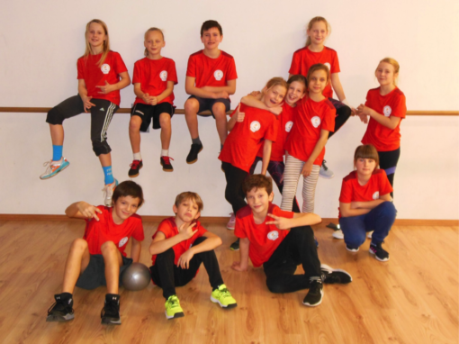 krajske kolo vybijana