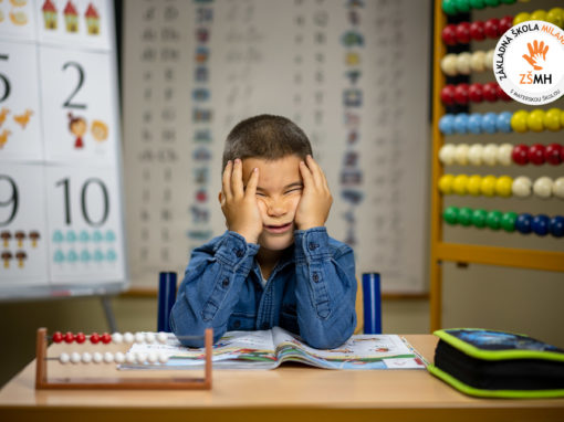 zsmh-prvaci-2020-068