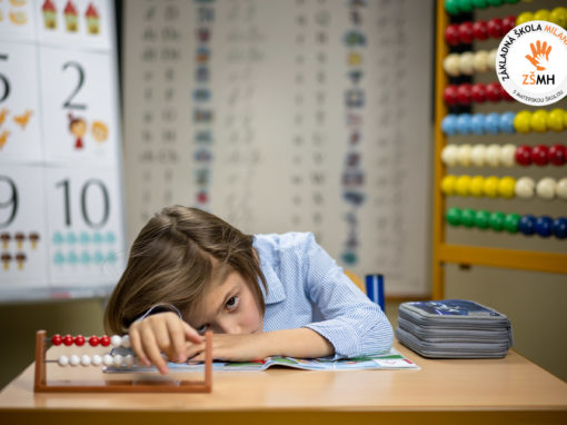 zsmh-prvaci-2020-074