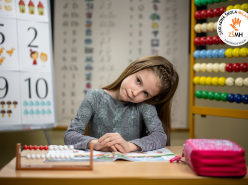 zsmh-prvaci-2020-086