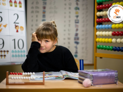 zsmh-prvaci-2020-102