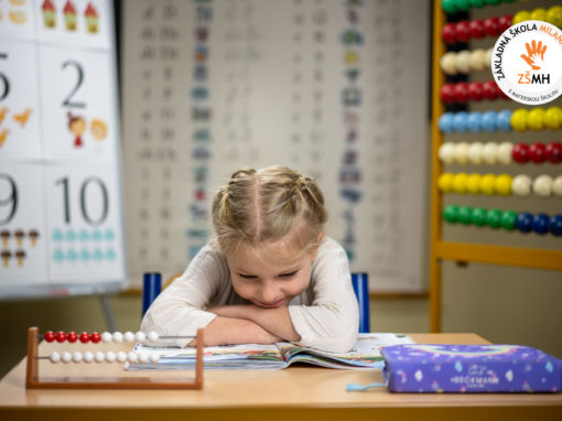 zsmh-prvaci-2020-152