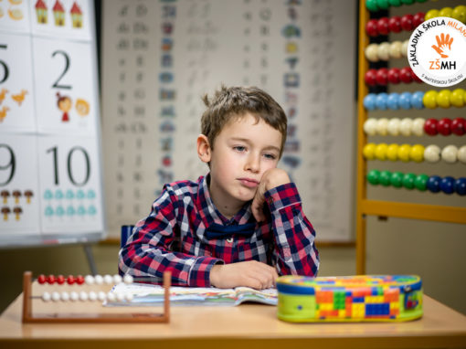 zsmh-prvaci-2020-166