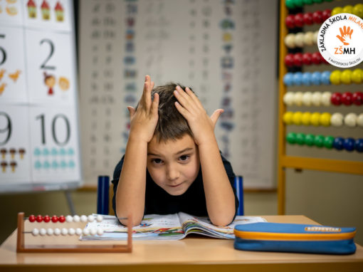 zsmh-prvaci-2020-173