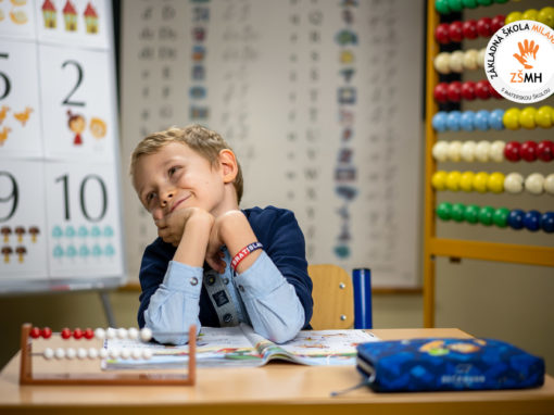 zsmh-prvaci-2020-184