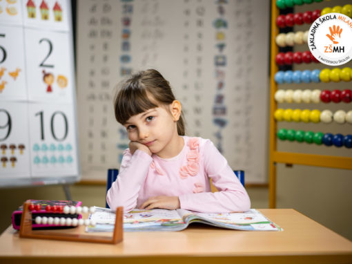 zsmh-prvaci-2020-242