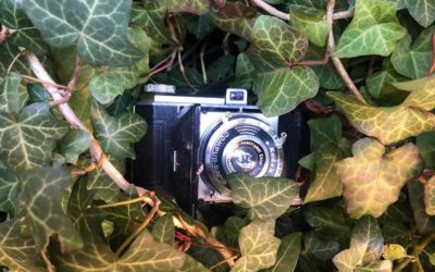 Fotografický workshop