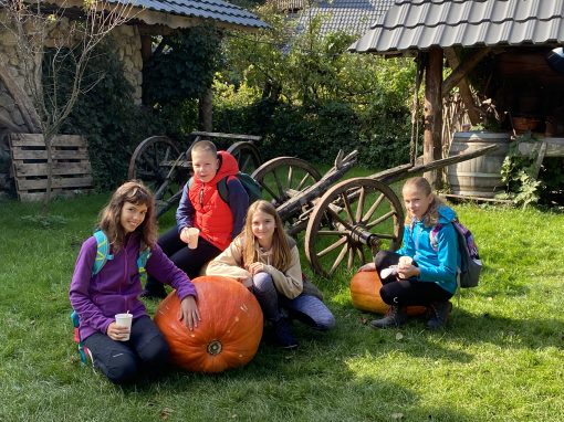 737C16EC-8BC3-424C-BC0A-D2480CD0FD34