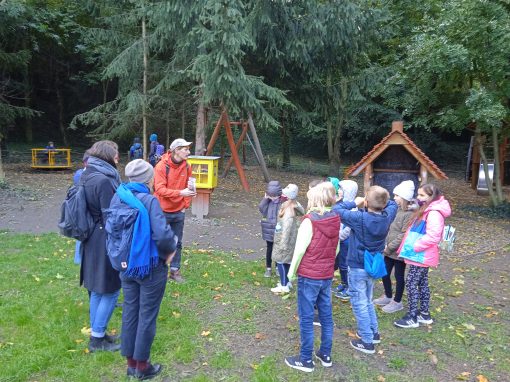 IMG-20211013-141000-1 (1)