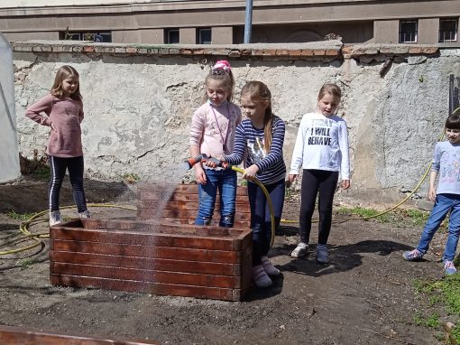 IMG_20220421_144541_1