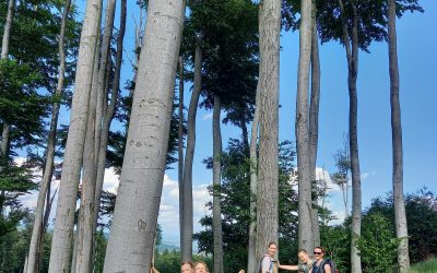 S turistickým krúžkom z Limbachu cez vrch Somár do Svätého Jura