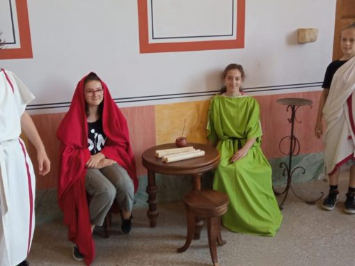 500977c7-da89-471b-acb3-25cffabbe117