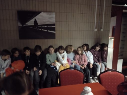 IMG_20221205_081506_113