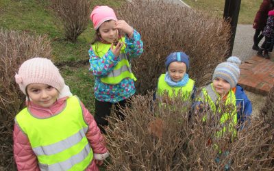 Prikrmovanie vtáčikov počas zimy na Bratislavskom hrade