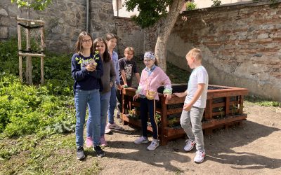 Jahodový záhon na školskom dvore