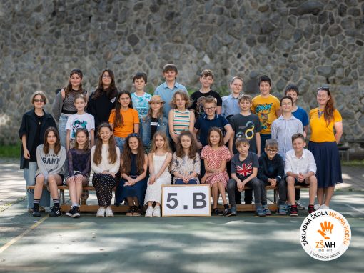 ZSMH_2023_trieda_5B_KOD-00633
