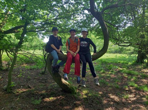 380049140_713760137452833_8251276313492094401_n