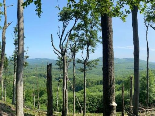 384542592_677054864384415_3045372545629605182_n