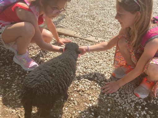 PHOTO-2023-06-29-12-59-43