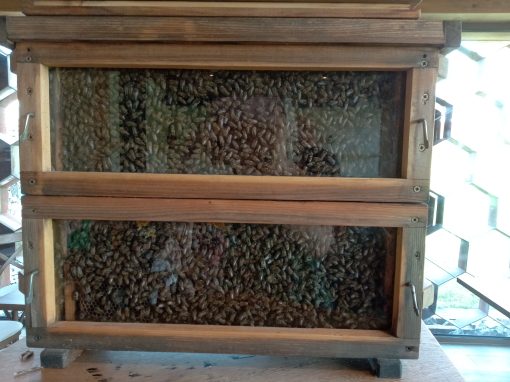 IMG_20230623_091806_219