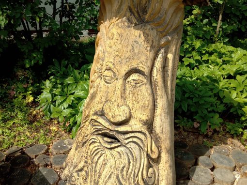 IMG_20230623_101433_093