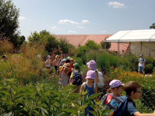 IMG_20230623_103444_800