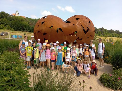 IMG_20230623_103658_872