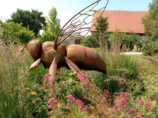 IMG_20230623_104905_209