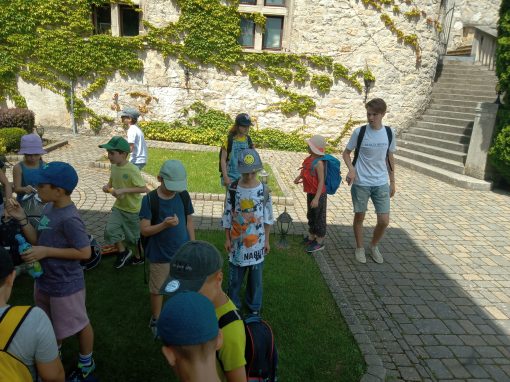 IMG_20230623_115432_159