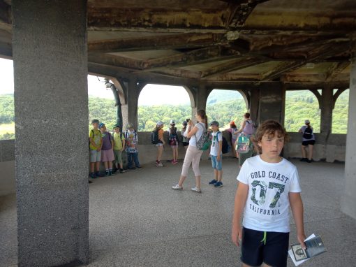 IMG_20230623_124228_255