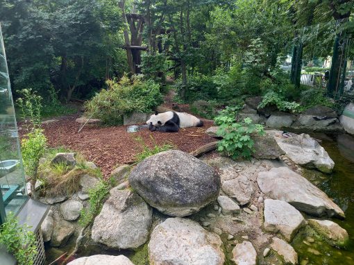 IMG_20230713_112620 2