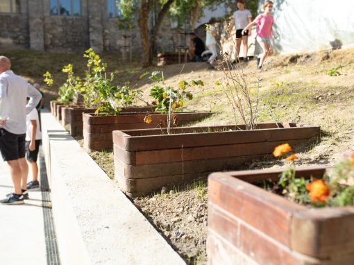 barbora_jancarova-44_53219615100_o