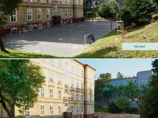 pred-a-po_53219275971_o