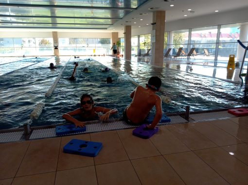 IMG_20231016_113205_784