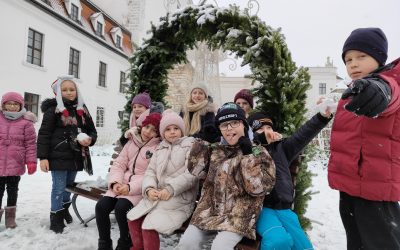 Kelti na Bratislavskom hrade