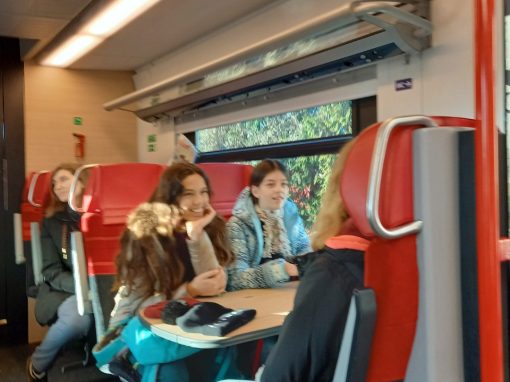 Resized_20240120_091845