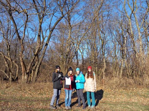 Resized_20240120_122233