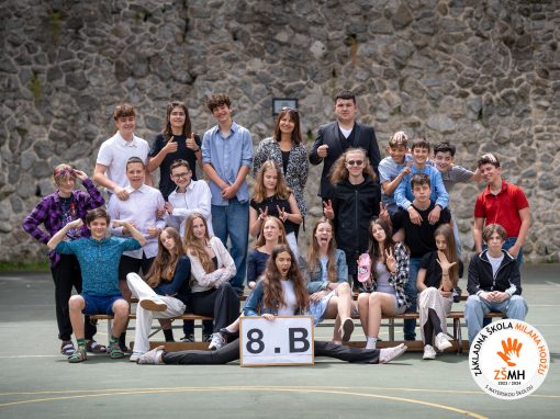 ZSMH_2024_trieda_8B_KOD-03501