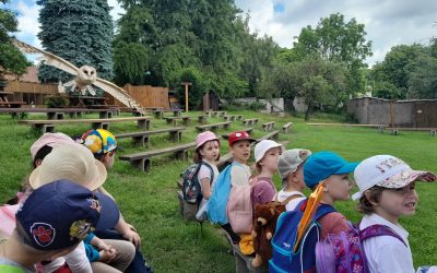 Žabky a Sovičky na koncoročnom výlete