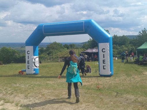 Resized_20250517_152505