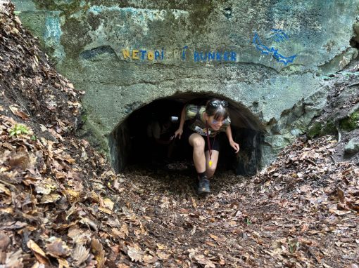 1b094a31-94f5-4de0-8f03-80d5866d446e