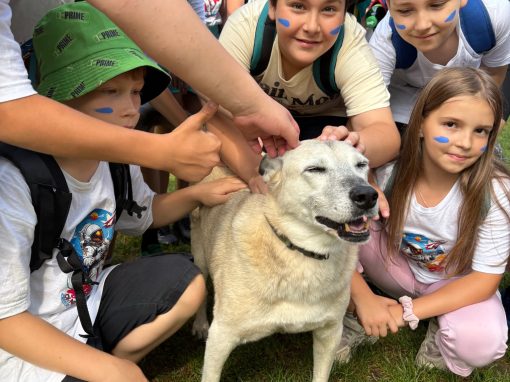 60d96882-e39f-4c87-9be1-a8f4496359e8