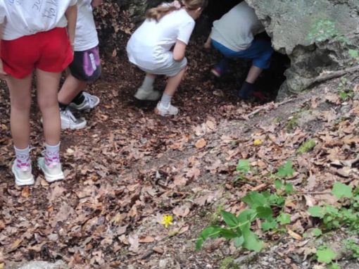 6a8ad684-d3fd-4022-82d3-28f54a45b819