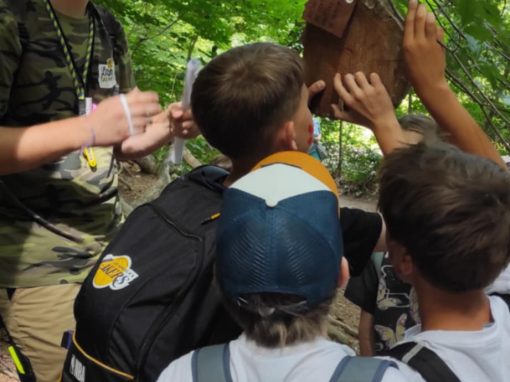 840bbbe0-17cd-40fb-b4ea-7667ac7fc1c0