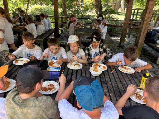 b3f5911f-5e1d-40de-b3b5-5f50c7fce70e