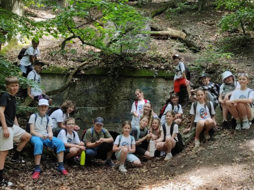 d799ee18-6bf8-4653-b170-fcd1e558251f (1)