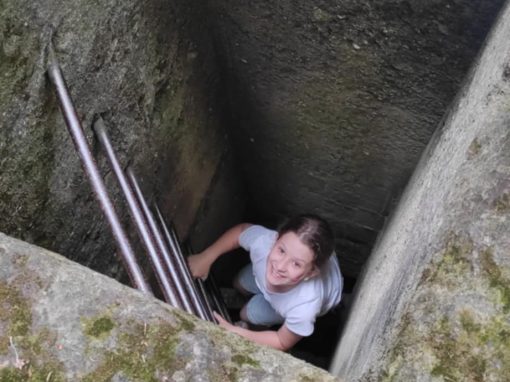 df5897fa-a6bb-45e2-8f89-22e51d0dc383