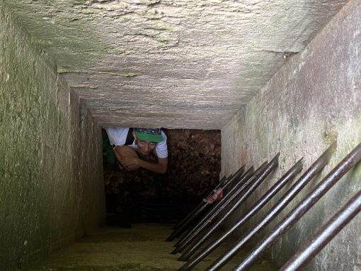 e245b5b8-1b89-4cc0-8f49-d6519a12127b