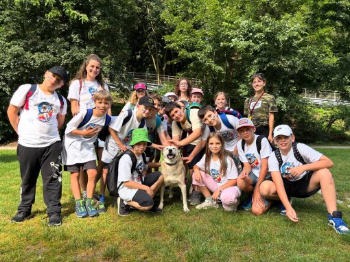 e7a50844-ad70-4ab0-a224-2e51e923e3a9